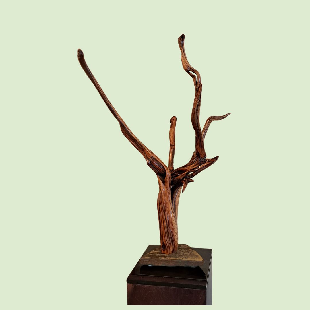 TC-009 Juniper Tree Sculpture 37.5T $215 at Hunter Wolff Gallery